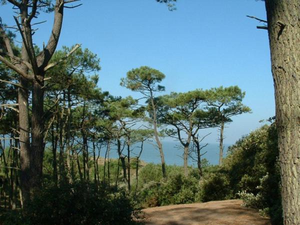Cottages Du Valcoquet Saint-Brévin-les-Pins Exteriör bild
